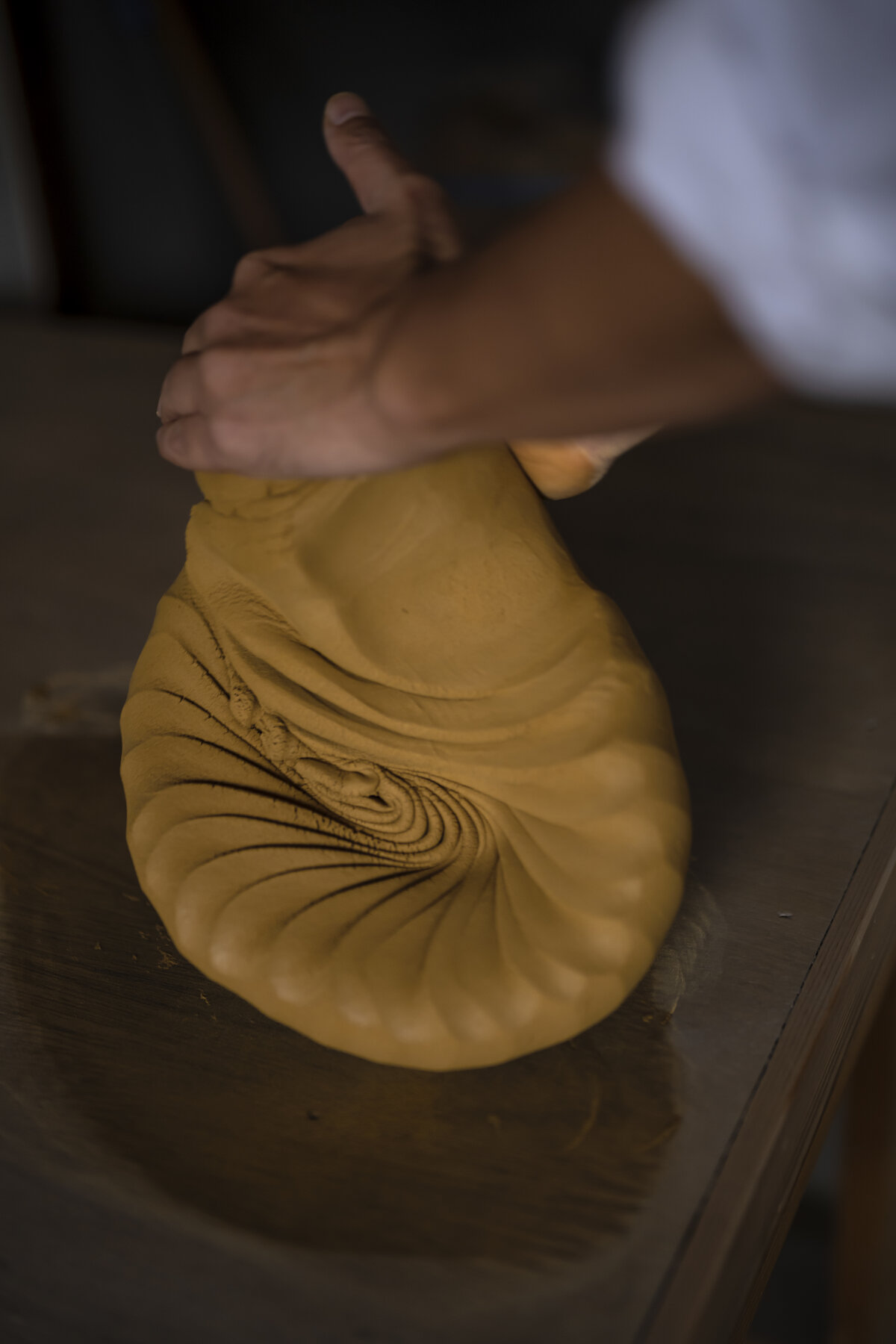 ギャラリー赤椿